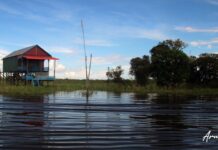 Sole house contrasting against the ripples in water, Cambodia
